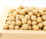 乳酸菌発酵エキスの原材料となる大豆